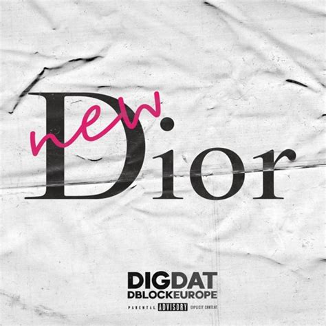 new dior digdat|New Dior .